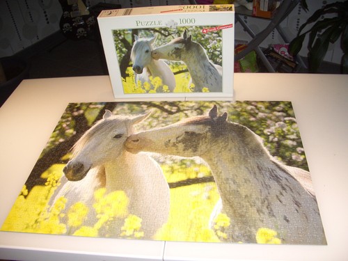 Tolles blatz puzzle 1000 - blatz,