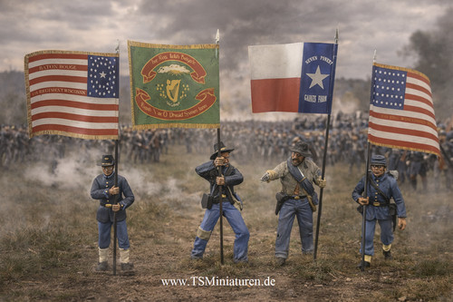 70mm 24 fahnen american - 1:24,