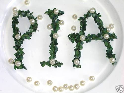 Buchstabe mit perlen - mit,