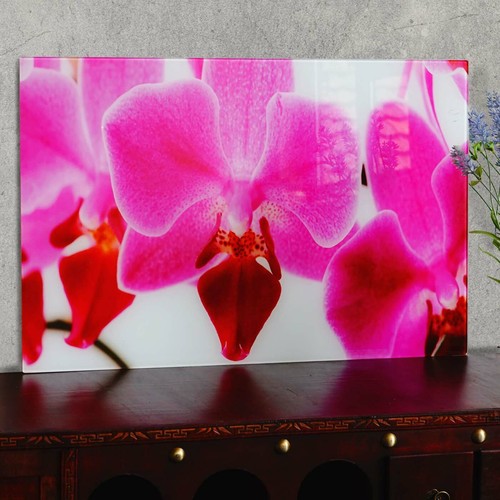 Glasbild t117 40x60cm - glasbild, t117,