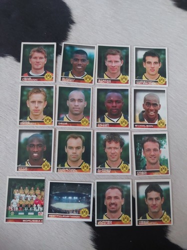 Bvb borussia dortmund panini - bvb,