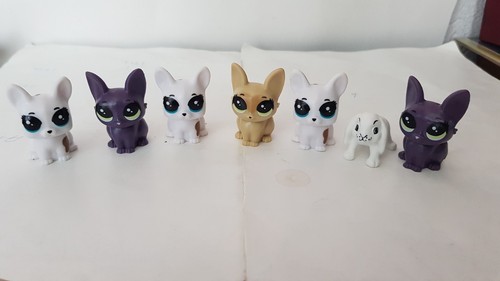 Verschiedene mini katzen - 7,