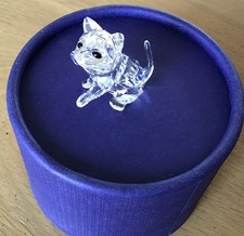 Swarovski Crystal Kitten