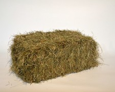 16 kg 2. Schnitt Wiesenheu |