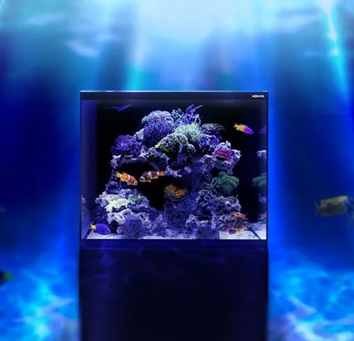 Aquael aquarium glossy set - aquarium,