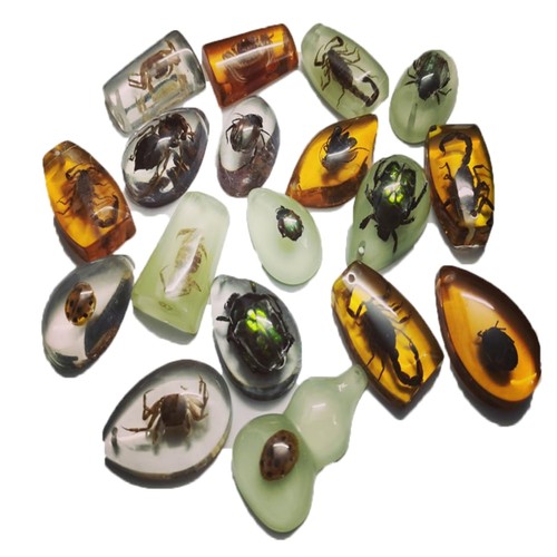 Insekten bernstein fossilien - bernstein,
