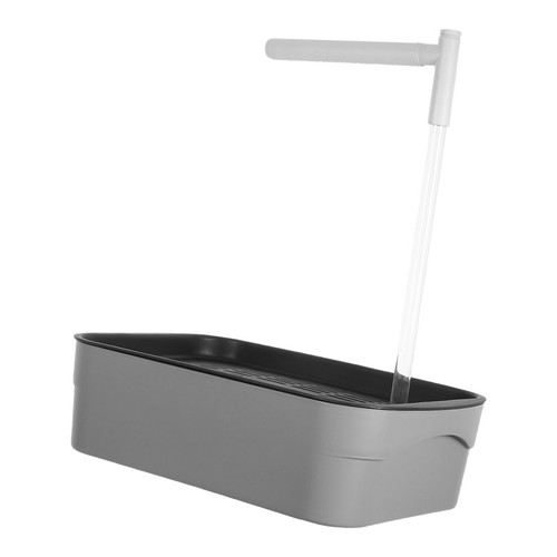 Papagei badewanne vogel - papagei,