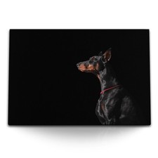 120x80cm Wandbild auf Leinwand Dobermann Tierfotografie Hund schwarzer