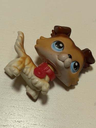 Littlest pet shop lps - my,