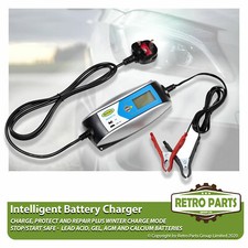 Smart automatic battery
