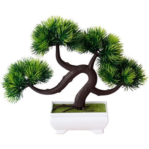 Falscher moos bonsai kleine - falscher,