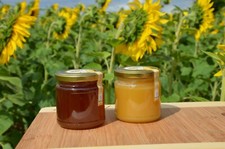 6x250g fränkischer Honig