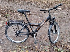 Pegasus Avanti 24 Zoll