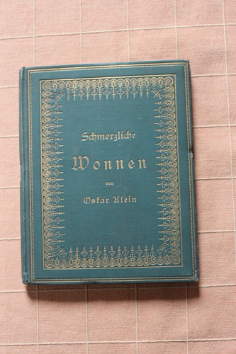 Schmerzliche wonnen roman - wonnen,