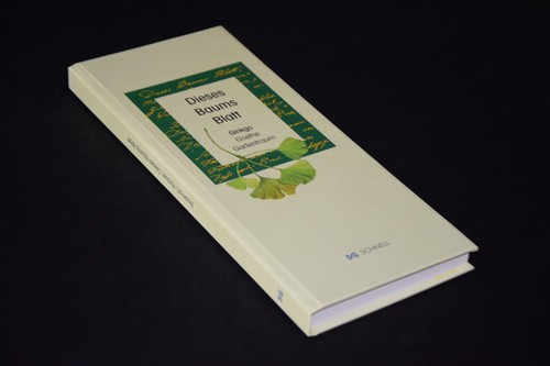 Dieses baums blatt ginkgo - dieses,