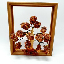 31.Bernsteinbaum, Glücksbaum