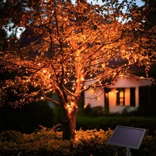 esotec Solar LED-Lichterkette 200 LEDs bernsteinfarben, 20m, winterfest 102569