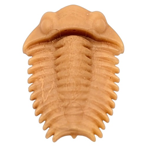 Playmobil fossil braun - playmobil,