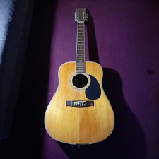 12 Saitige Arkustik Gitarre