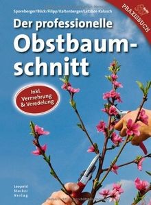 Der professionelle