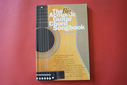 The big acoustic guitar - acoustic,