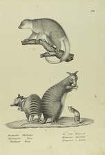 Sammlung 12 Tafeln mit