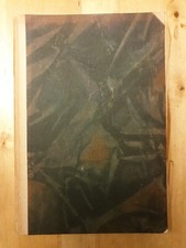 Der erwachte Schläfer. 1920