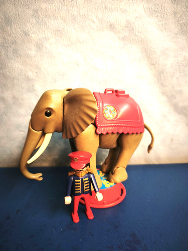 Grosser zirkus elefanten - grosser,