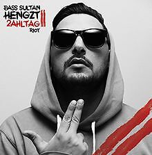 2ahltag: Riot von Bass Sultan Hengzt | CD | Zustand gut