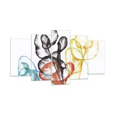 Wandbilder 160x85cm 5 tlg