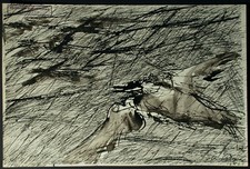 Therese SCHÜTZ-LEINFELLNER