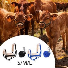 Kuhhalfter mit Führstrick