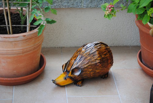 Großer igel haus garten - igel,