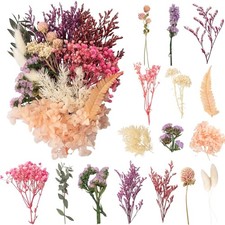 Trockenblumen Bastelset