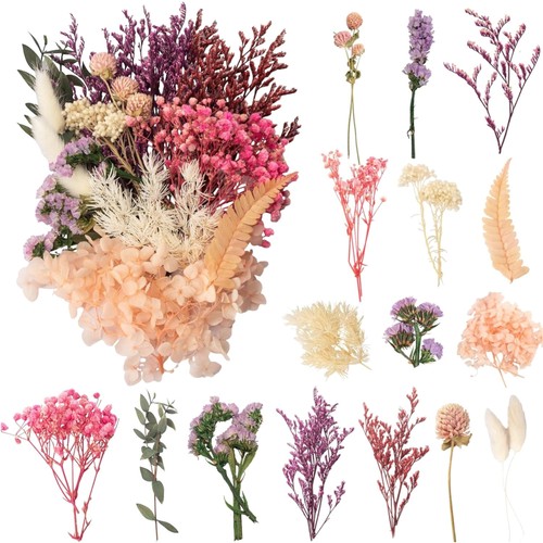 Trockenblumen bastelset - trockenblumen,
