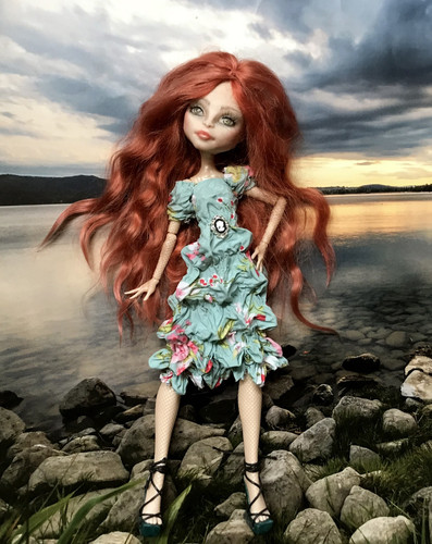 Monster high custom doll - monster,
