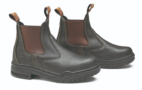 Mountain horse protective - mountain,