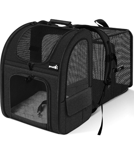 Katzen hunde - katzen/,