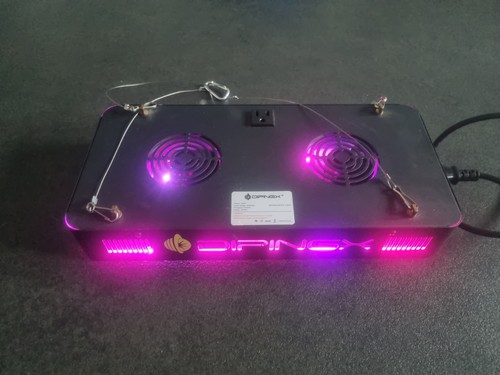 600w dipingx grow light - 600w,