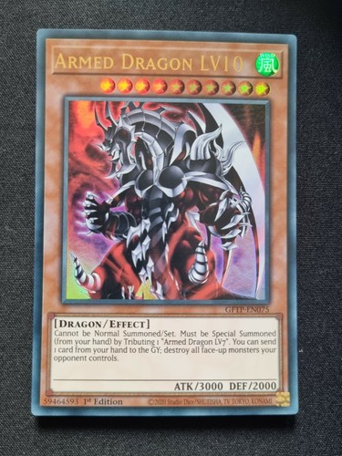 Bewaffneter drache lv10 - bewaffneter,