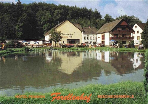 Bescheid hermeskeil hotel - hermeskeil,