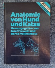 Anatomie von Hund und Katze