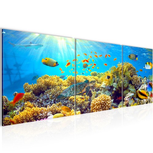 Wandbilder set unterwasserwelt - wandbilder,