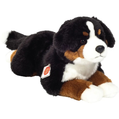 Teddy hermann berner - hermann,