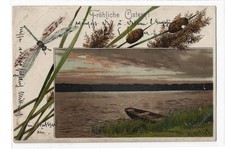Ostern Kahn am See mit Schilf