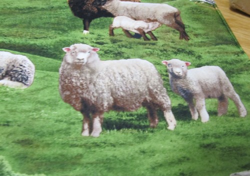 Schaf lamm herde schafsherde - schaf,