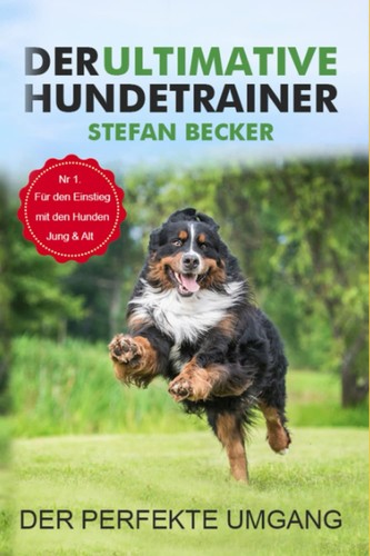 Hundetrainer buch tipps tricks - buch,