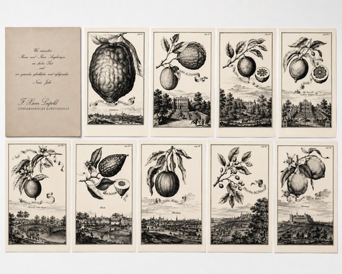 Historische lithographien - historische,