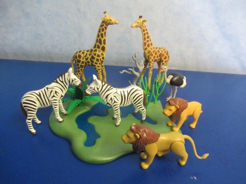 Giraffen zebras löwen safari - giraffen,