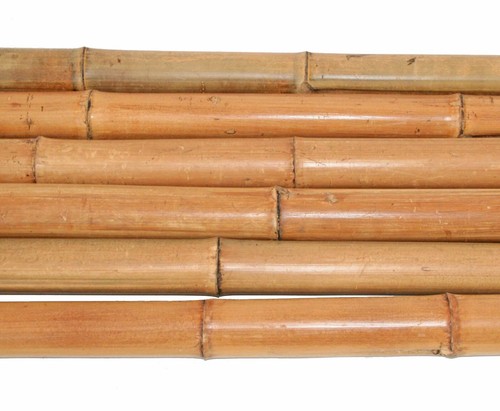 Bambusrohr 300cm gelbbraun